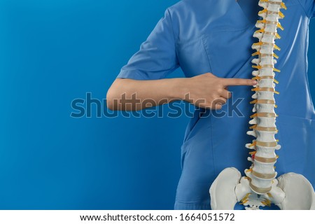 Female orthopedist with human spine model against blue background, closeup. Space for text