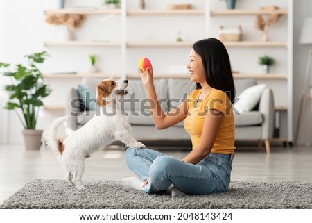 Female owner playing with joyful dog at home, happy young asian woman enjoying ball games with her cute fluffy jack russel terrier puppy, side view, copy space. Playing with dog concept