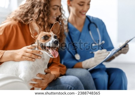 Female owner smiling with her happy Jack Russell Terrier at the vet's office, while veterinarian writing on clipboard, capturing moment of care and trust between pet, owner, and doctor