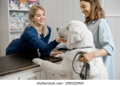 Female Owner And Veterinarian With Big White Dog On Reception In Veterinary Clinic. Dog Climbed Paws On The Table And Doctor Stroking Dog. Pet Care And Treatment