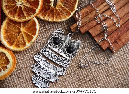 female pendant in the form of an owl on a decorative background. women's jewelry