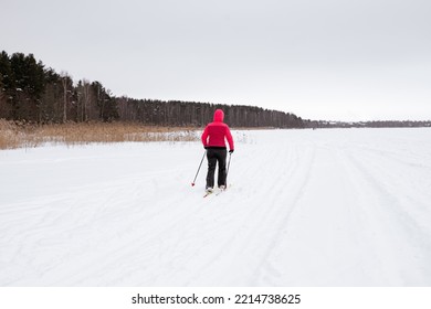 Female Person Exercising Cross-country Skiing On The Frozen Lake Ice Sheet In Winter Day.Active People Outdoors. Scenic Peaceful Finnish Landscape