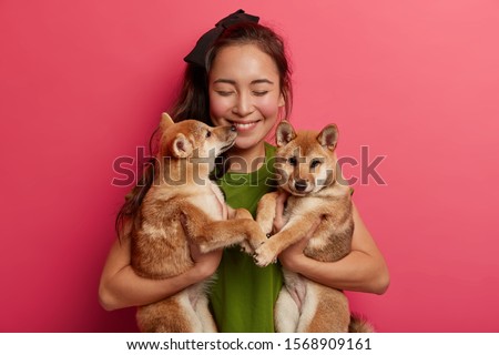 Similar – Image, Stock Photo walk Pet Dog 1 Animal Jump