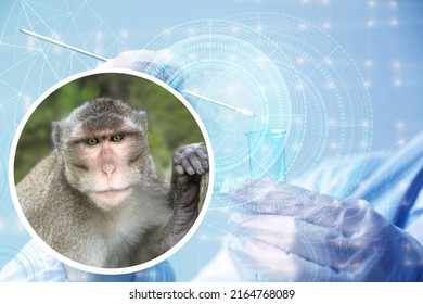 572 Primate Testing Images, Stock Photos & Vectors 