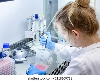 A Female PhD Student Performing A Biological Experiment On A Cancer Cells In A Sterile Environment Of Designated Biosafety Laboratory At Research Facility. 