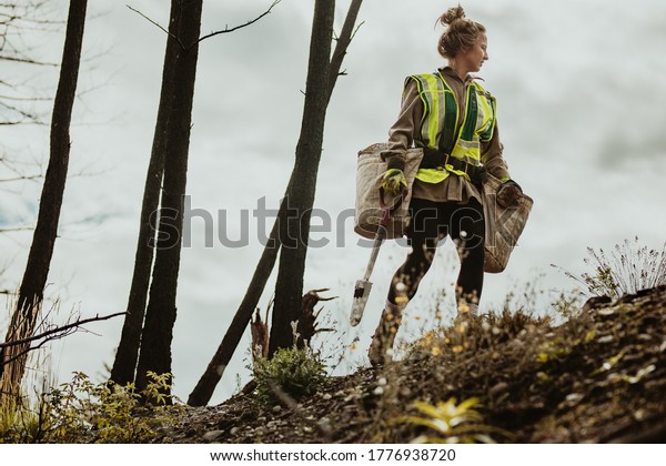 Female planting trees in forest. Woman tree\
planter wearing reflective vest walking in forest carrying bag full\
of trees and a shovel.