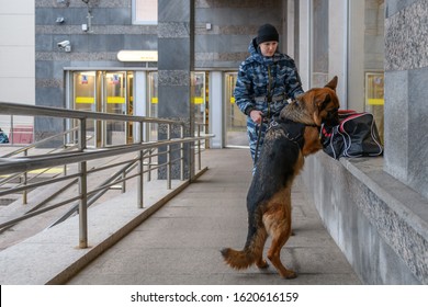 Female police officer with a trained german shepherd dog sniffs out drugs or bomb in luggage.