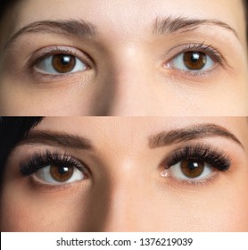 Female portrait before and after eyelash extensions