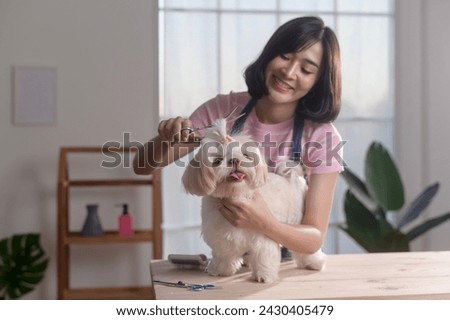 Female professional groomer trimming haircut and combing dog fur at pet spa grooming salon	