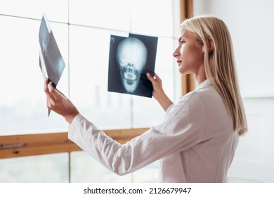 Female Radiologist Looks At Scans Of Skull.