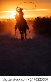 Female ranch hand, or cowgirl, riding horse in the sunset on a ranch in Arizona, USA. Swinging a lariat. Silhouette.