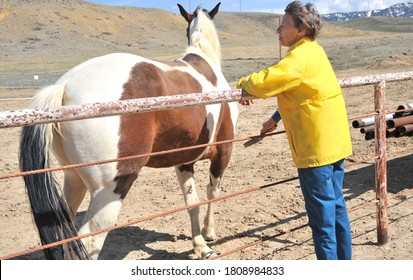 Female rancher bonding with horse in stable outside. - Shutterstock ID 1808984833