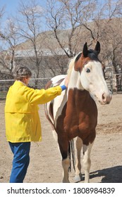 Female Rancher Bonding With Horse In Stable Outside.