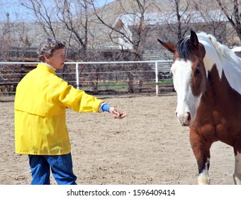 Female Rancher Feeding Her Horse Outdoors.