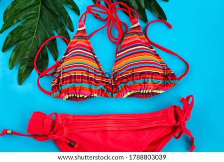Female red swimsuit and green palm branches on blue background . Flat lay. Top view.