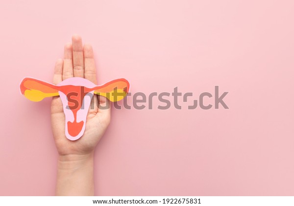 Female\
reproductive health concept. Woman hand holding uterus shape made\
frome paper on pink background. Awareness of uterus illness such as\
endometriosis, PCOS, STDs or gynecologic cancer.\
