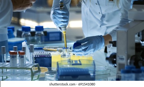 Female Research Scientist Uses Micropipette Filling Test Tubes. Scientist Works in a Team of Scientists Trying to Cure Deadly Disease, They Work in a Big Laboratory/ Research Center.