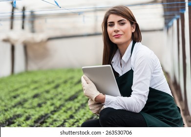 Female researcher technician studying with a tablet and gloves, dressed in office clothes,office shirt and apron in all withe greenhouse. - Powered by Shutterstock