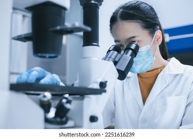 Female researcher use the inverted microscope to look at culture cells on a slide for bioassay of drugs test in the laboratory. Research for pharmaceutical, medicine, and biotechnology development. - Powered by Shutterstock