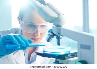 Female researcher using her microscope in a laboratory