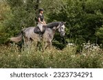 Female rider, horseback riding along the trail that leads between white wood fences and fields. Equestrian leisure activity concept.