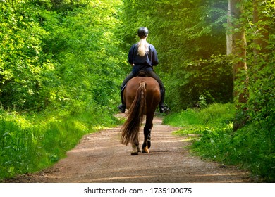 A female rider on a forest road at spring