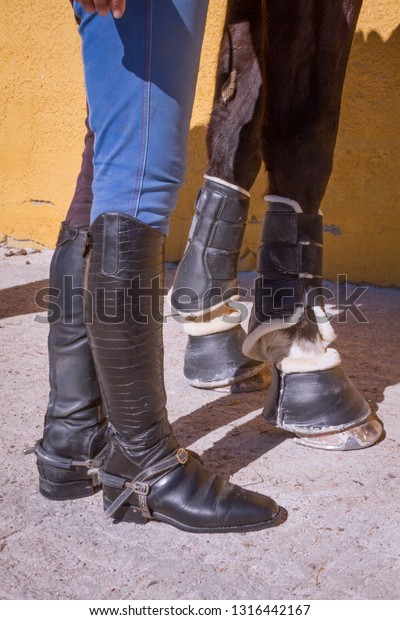 female riding boots