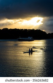 Female Rowers In A Double Scull On Sunset Lake
