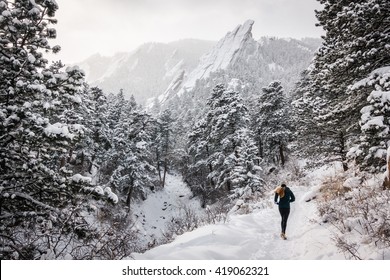 Female runner in a snowy forest.