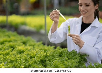 Female scientist examining a plants in greenhouse farm. scientists holding equipment for research plant in organic farm. Quality control for hydroponics vegetable farm. - Powered by Shutterstock