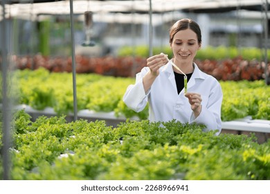 Female scientist examining a plants in greenhouse farm. scientists holding equipment for research plant in organic farm. Quality control for hydroponics vegetable farm. - Powered by Shutterstock