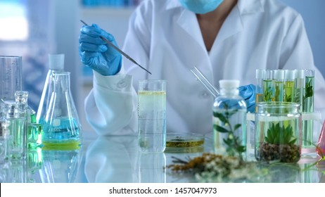 Female scientist experimenting with plant extracts, body care lotions, aroma