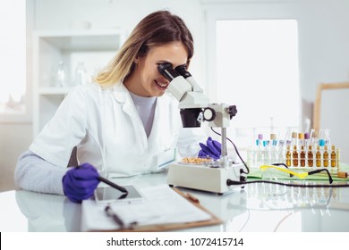 Female scientist looking corn for genetic modification research in laboratory - Shutterstock ID 1072415714