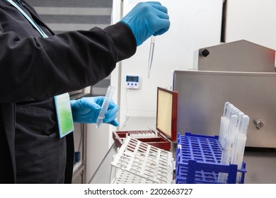 Female Scientist Preparing Slides For Karyotipe And Fluorescence In Situ Hybridization At The Laboratory