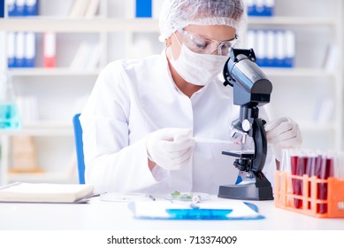 Black African Female Scientist Researcher Using Stock Photo (Edit Now ...