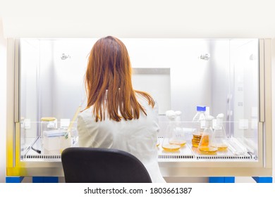 Female Scientist Researching In Life Science Corona Virus Vaccine Development Laboratory.