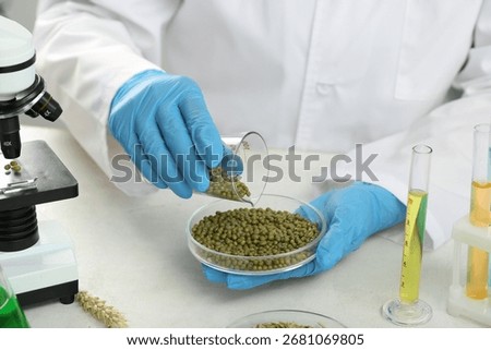 Female scientist with test tubes of samples and mung beans in Petri dish on white table, closeup