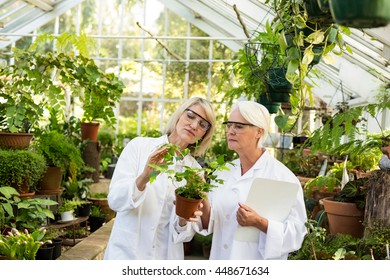 Female scientists examining potted plant while standing at greenhouse - Powered by Shutterstock