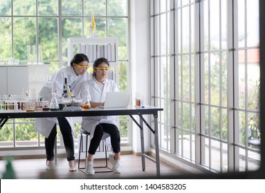 Female  scientists are preparing microscopes for testing and analysis through an extension to find the results of medical research. Scientific and chemical concepts