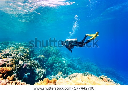 Female scuba diver swimming under water