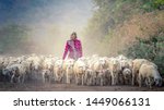 Female Shepherd and flock of sheep at a foggy in the woods