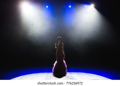 39,416 Popular singer on stage Images, Stock Photos & Vectors ...