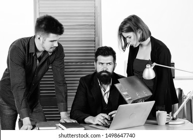 Female Small Minority. Woman Attractive Lady Working With Men Colleagues. Office Collective Concept. Coworkers Communicate Solving Business Tasks. Working Together. Working Process. Business Meeting.