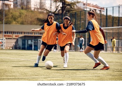 Female soccer players having sports training on playing field.  - Powered by Shutterstock