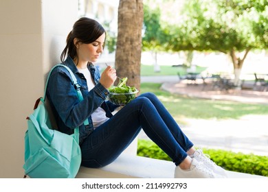 Female Student Eating A Healthy Lunch Between Classes. Young Woman Taking A Break And Eating A Salad On The University