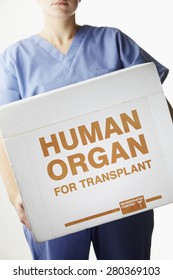 Female Surgeon Carrying Transplant Organ Box