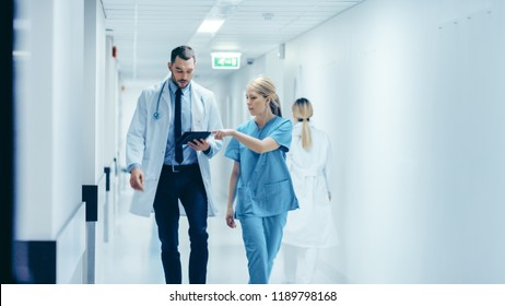 Female Surgeon and Doctor Walk Through Hospital Hallway, They Consult Digital Tablet Computer while Talking about Patient's Health. Modern Bright Hospital with Professional Staff.