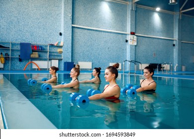 Female swimmers group, aqua aerobics in the pool