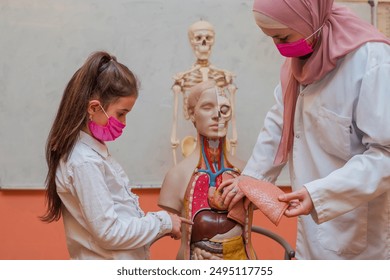 A female teacher in hijab uses the human body model to explain anatomy in the classroom lab.  - Powered by Shutterstock