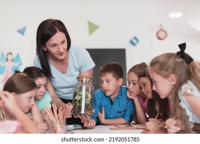 Female Teacher with kids in biology class at elementary school conducting biology or botanical scientific experiment about sustainable Growing plants. Learning about plants in a glass jar - Shutterstock ID 2192051785
